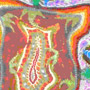 Profusion / Acrylique sur toile, 100x100 / 2007